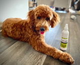 Dog Cologne and Perfume
