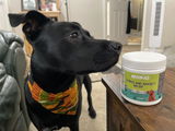 Hemp Calming For Dogs