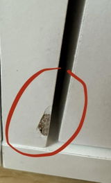 Anonymous review photo