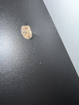 E. review photo