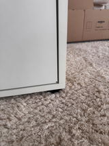 Lion review photo