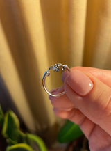 Monika review photo