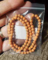 Bella review photo