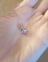 Werka review photo