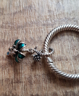 Ewelina review photo