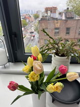 M.Diane review photo