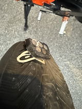 Customer photo from the review