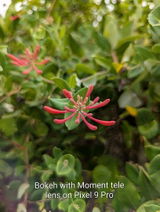 Leonid P. review photo