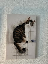 Irena Likovic review photo