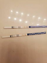 Claudia Pliego review photo