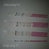 A. review photo