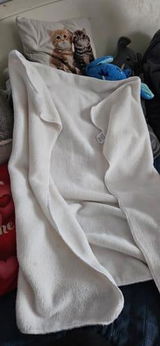Katalin J. review photo