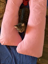 Kitti B. review photo