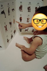 p*****o review photo