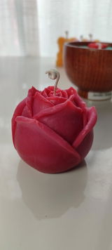Harmony o.n. review photo
