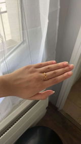 Shahinaz P. review photo
