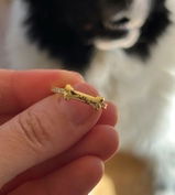 Phoebe G. review photo