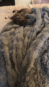Jodi Rubin review photo
