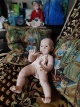 Wade G. review photo