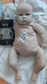 Bruno B. review photo