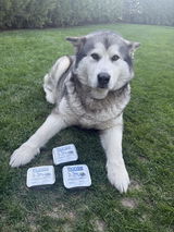 Legacy Howl Kennel review photo