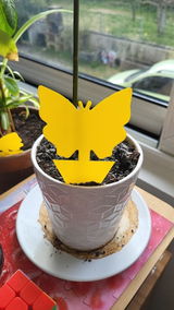 Caro review photo