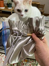 よーちゃん review photo