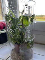 MRS JO-ANNE GIBBS review photo