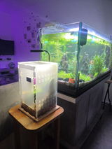 Décoration | Lampe Terrarium LED + Socle en bois
