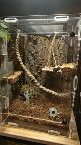 Kit décoration terrarium | Mousse, Tourbe de coco et bois