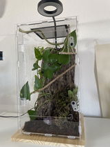 Décoration | Lampe Terrarium LED + Socle en bois