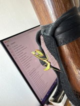 Anonyme review photo