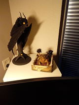Etsy customer review photo