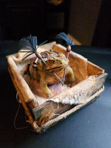Etsy customer review photo