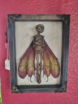 Etsy customer review photo