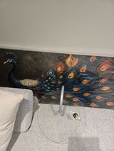 K**Z review photo