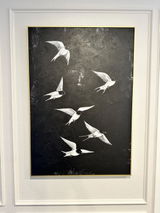 R**D review photo