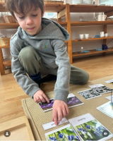 Bluebell Montessori review photo