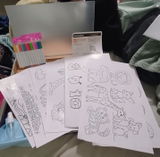 SL review photo