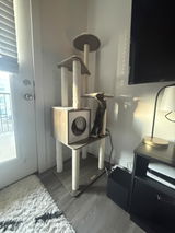 Whitni review photo
