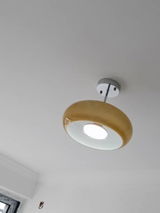 ami review photo