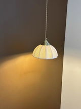 ami review photo