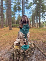 Henry & Hettie review photo