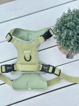 Alecia review photo