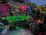 Tropical Plant Addict review photo