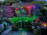 Tropical Plant Addict review photo