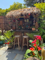 Tropical Plant Addict review photo