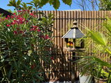 Tropical Plant Addict review photo