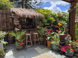 Tropical Plant Addict review photo