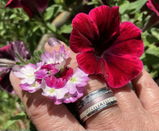Ghislaine Terry review photo